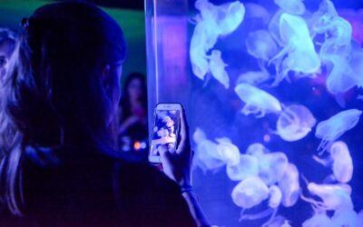 Experience nightLAB Vol. 2 at Frost Science Museum