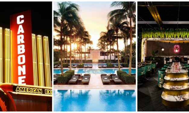 Your Ultimate Miami F1 City Guide: Where Luxury, Culture, and Racing Collide