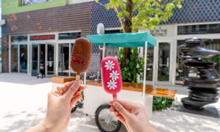 The 10 best ice cream shops in Miami