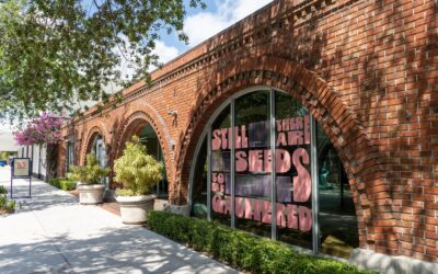Miami Design District’s Latest Art Exhibitions Turn Heads for Women’s History Month