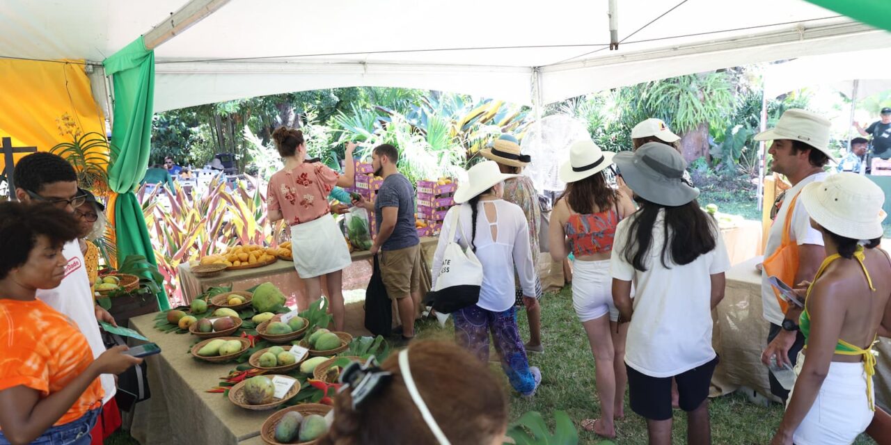 The King of Fruits is Back! Don’t Miss Fairchild’s Unforgettable Mango Festival