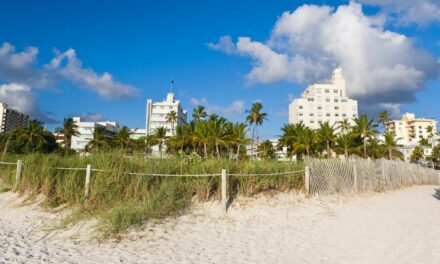 Budget Friendly Hotels in Miami: A Guide to the Magic City on a Shoestring