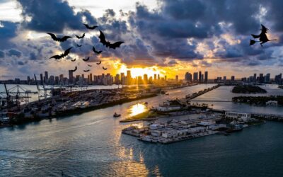 The Ultimate Guide to Halloween in Miami