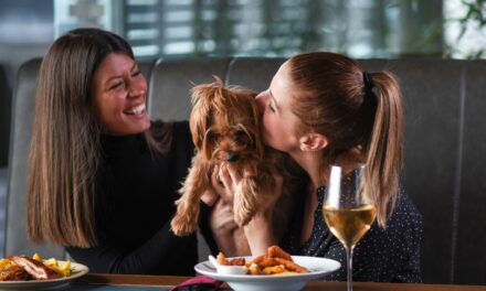 The 10 Best Dog-Friendly Restaurants in Miami