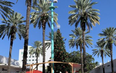 Best Restaurants for Christmas in Miami